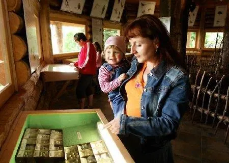Hotel Panorama Im Erzgebirge