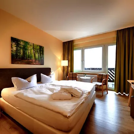 Отель Panorama Курорт Обервизенталь