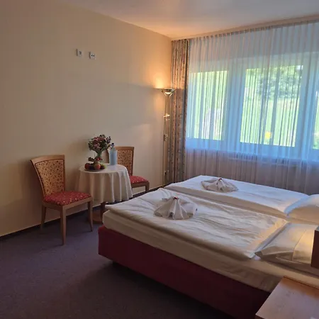 Panorama Im Erzgebirge Hotel