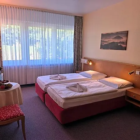 Panorama Im Erzgebirge Hotel