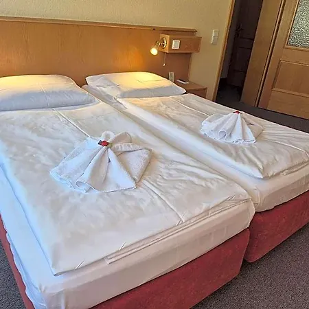 Panorama Im Erzgebirge Hotel 3*